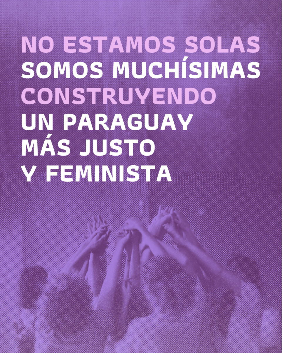 Flyer con texto "No estamos solas, somos muhcísimas construyendo un paraguay más justo y feminista"
